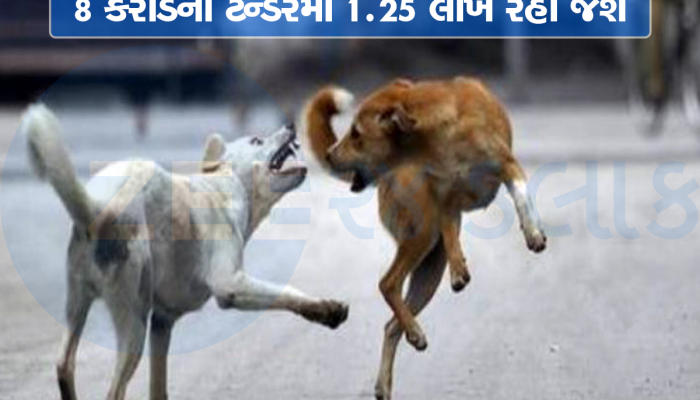 Parag Desai Death Case: કૂતરા નહીં સફેદ હાથી! 3 વર્ષ 9.11 કરોડ વપરાયા, 1 કૂતરા પાછળ 1000 ખર્ચ 
