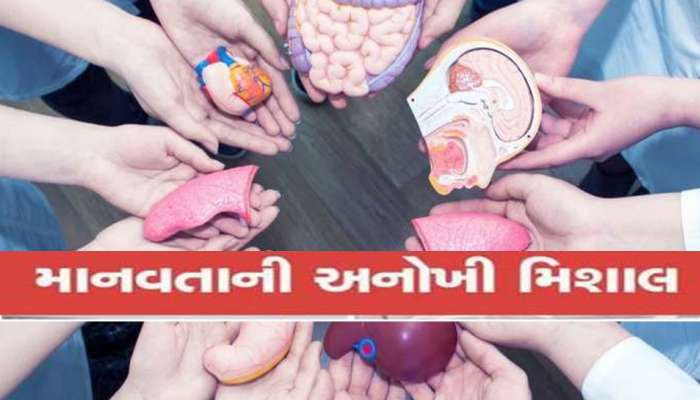 ડાયમંડ સીટી હવે બન્યું ઓર્ગન ડોનર સીટી! વધુ એક મૃતકના પરિવારે અંગદાન કરી 4 લોકોને નવી જિંદગી આપી