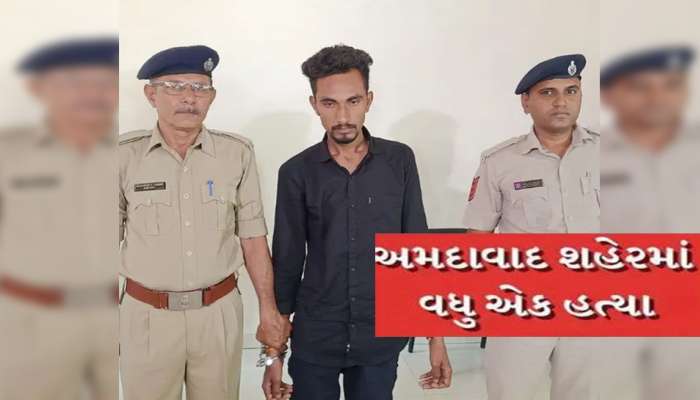 15 દિવસની મિત્રતામાં સમલૈંગિક સંબંધના કારણે હત્યા, ઘટનાની રાત્રે પણ મૃતકે આરોપી પાસે કરી હતી સંબંધની માંગ 