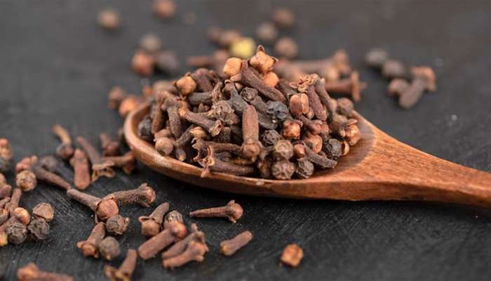 Clove: લવિંગ ખાવાથી થાય છે લાભ પણ સાચવીને કરવો ઉપયોગ, કરી શકે છે ગંભીર નુકસાન