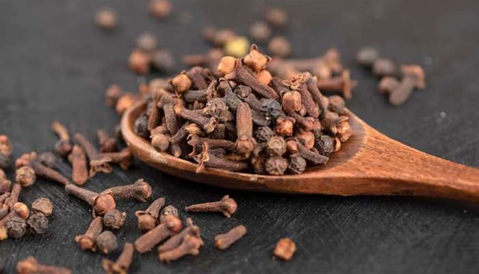 Clove: લવિંગ ખાવાથી થાય છે લાભ પણ સાચવીને કરવો ઉપયોગ, કરી શકે છે ગંભીર નુકસાન