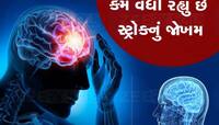 સ્ટ્રોકથી દર 4 મિનિટે એક ભારતીય નું મૃત્યુ થાય છે, સ્ટ્રોકથી બચવા આટલું રાખો ધ્યાન