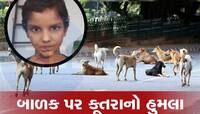સુરતમાં કૂતરાઓનો ત્રાસ યથાવત, 9 વર્ષના બાળક પર શ્વાનનો હુમલો, લોકોમાં ભયનો માહોલ