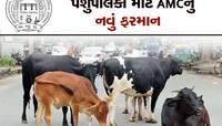 પગ નીચે રેલો આવતા AMC એ નવી ઢોર નીતિ બનાવી, પશુપાલકોએ આપ્યા મોટા સૂચનો 