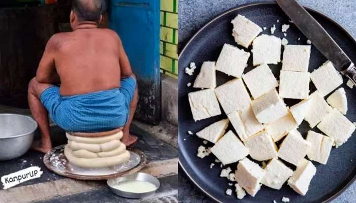 ફોટો જોઇ લીધો તો ગળે નહી ઉતરે પનીર! સોશિયલ મીડિયા પર વાયરલ થઇ તસવીર