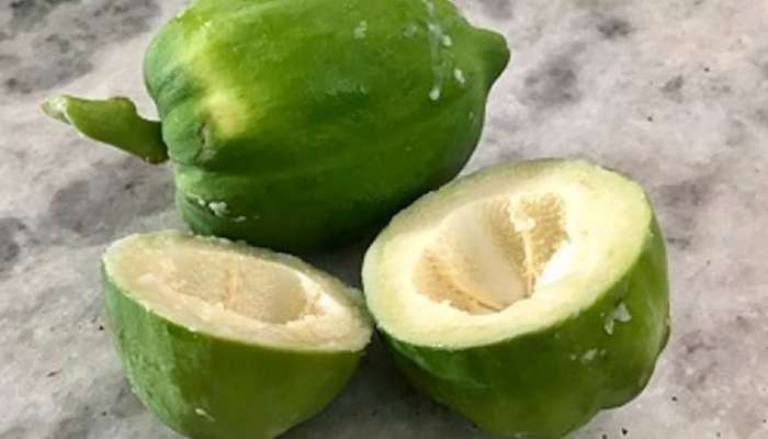 Raw Papaya Benefits: શું તમે જાણો છો કાચા પપૈયાના 6 અનોખા ફાયદા? જાણશો તો ચોંકી જશો