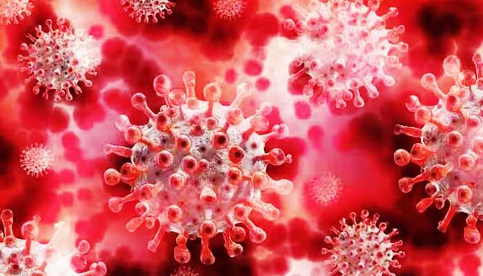 Coronavirus: ગુજરાતમાં આ જિલ્લામાં કોરોનાની એન્ટ્રી, આરોગ્ય તંત્ર હરકતમાં