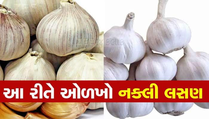 Alert! ક્યાંક તમે ચીનનું નકલી લસણ તો નથી ખાતા ને? ઓળખ કરવા માટે જુઓ Viral Video 