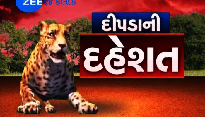 ગામની સીમમાંથી મળ્યો દીપડાનો મૃતદેહ, શું હજુ બીજો દીપડો જીવે છે? સમગ્ર પંથકમાં દહેશત