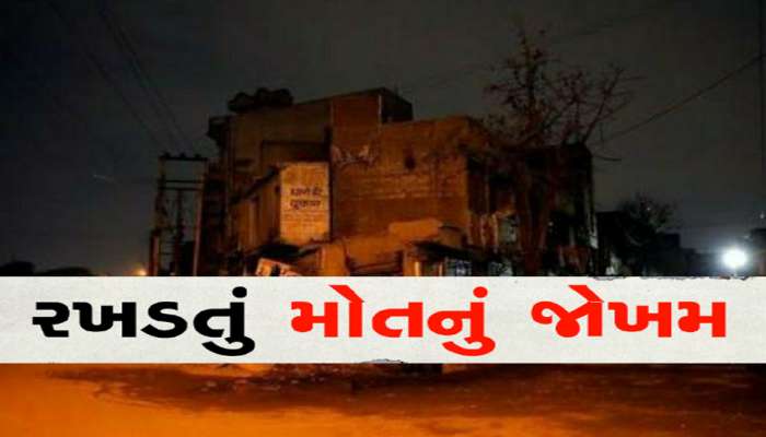 આ શહેરમાં બહાર નીકળવું પણ દુષ્વાર! માત્ર બે કલાકમાં શ્વાને મચાવ્યો આતંક, એક બાળકી સહિત 3 ને કરડ્યા