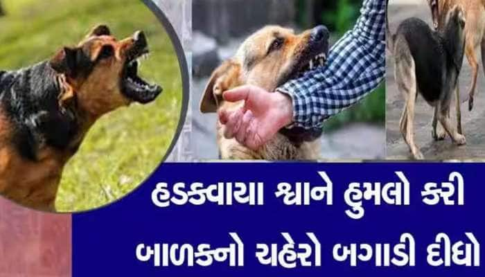 તમારા ઘરની બહાર બાળકો રમતા હોય તો સાવધાન! સુરતમાં 1 વર્ષની બાળકી સાથે મોટો કાંડ