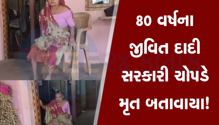 80 વર્ષના દાદીનું પેન્શન અટકતા મોટો આધાર છીનવાયો, તપાસ કરતા જ નીકળી મોટી ભૂલ