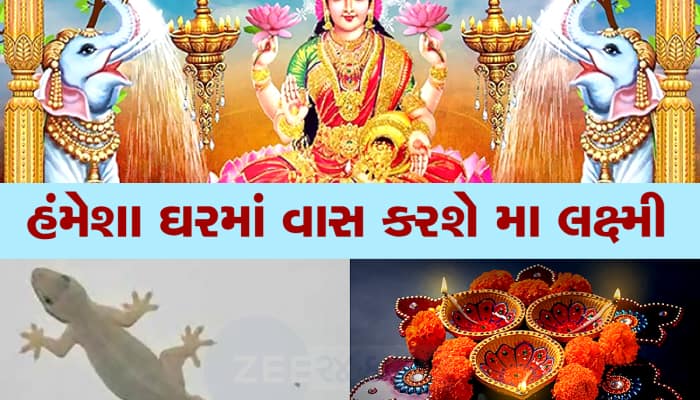 દિવાળીના દિવસે ગરોળી દેખાઇ ગઇ તો સમજો લોટરી લાગી ગઇ, તરત કરજો આ કામ