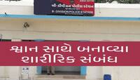 હે માનવ! તું કેમ ભૂલ્યો માણસાઈ? જાણો અબોલ કૂતરી માણસાઈની ક્રુરતા સામે કેવી રીતે હારી