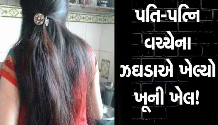ફિલ્મી સ્ટોરીને ટક્કર મારે તેવી હત્યા! પતિએ જ પત્નીની તિક્ષ્ણ હથિયારના ઘા મારી હત્યા, પરિવાર ઉજળ્યો!