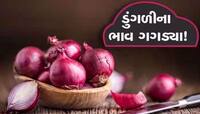 ખેડૂતોને ફરી રોવાનો વારો! ડુંગળીની પુષ્કળ આવક વચ્ચે ભાવમાં ગાબડું, શું ચાલે છે ભાવ?