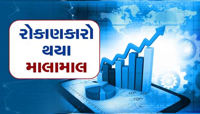 આ શેરે સિસ્ટમ હલાવી દીધી! આ ખેલાડીએ એક વર્ષમાં ₹200 કરોડનો નફો કર્યો, રોકેટ સાબિત થયો શેર  