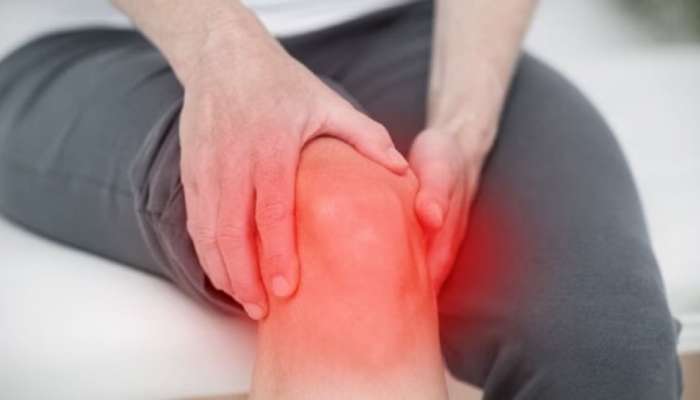 Joint Pain: શિયાળામાં સાંધાના દુખાવાથી છુટકારો અપાવશે આ 3 લીલા પાન