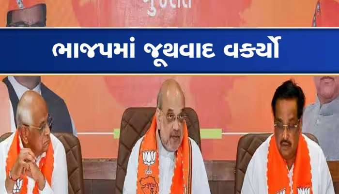 ભાજપમાં કોલ્ડવોર! ગુજરાતમાં ITના દરોડા, ભાજપ સાથે ઘરોબો ધરાવતા સોફ્ટ ટાર્ગેટ