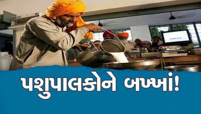 દૂધસાગર ડેરીના નિર્ણયથી પશુપાલકો ખુશખુશાલ! આપી દિવાળીની ભેટ, 5 લાખ લોકોને બખ્ખાં
