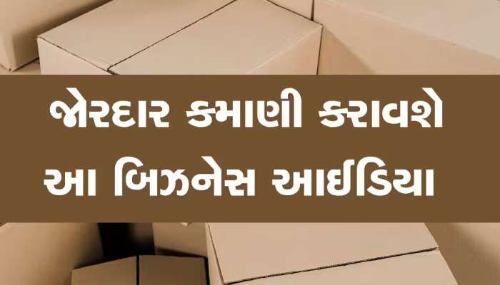 Business Idea: તગડી કમાણી કરવી હોય તો ફટાફટ શરૂ કરો આ સુપરહિટ બિઝનેસ, જલદી બની જશો અમીર!
