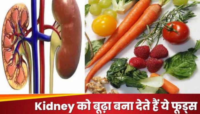 Kidney ને વૃદ્ધ કરી દે છે આ વસ્તુઓ, આજે કરો ડાયટમાંથી બહાર 