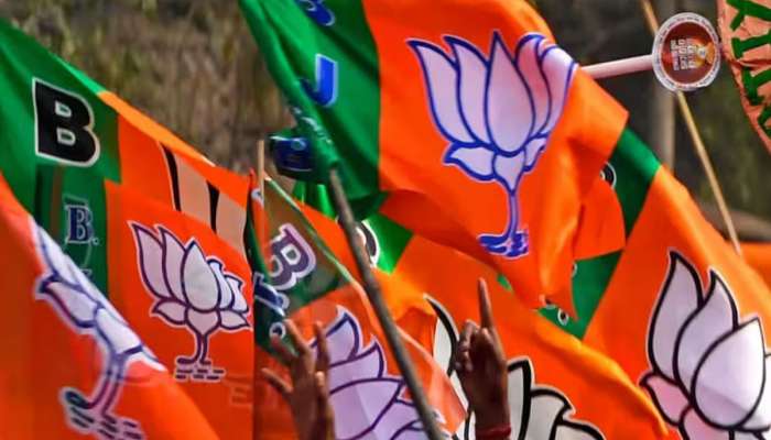 બળવો ક્યારેક મનમાની! ભાજપે નાકલીટી તાણી આ નેતાને બનાવવા પડ્યા ડેરીના ચેરમેન, વફાદારને અપાવ્યું રાજીનામું
