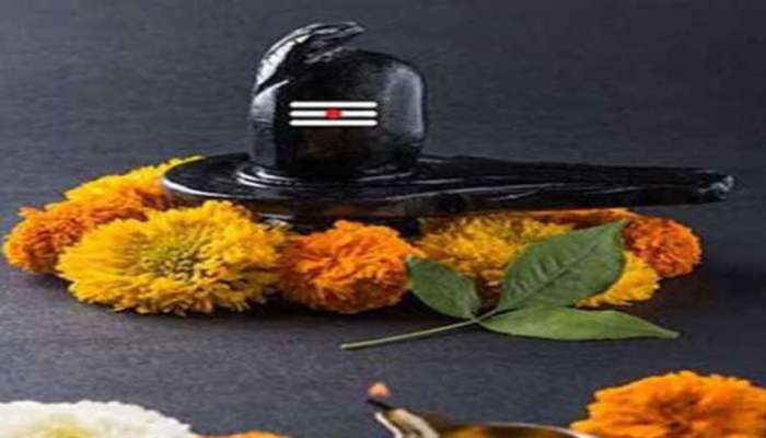 Somwar Upay: સોમવારે કરો આ 5 સરળ ઉપાય, ભોળાનાથની કૃપાથી નવવર્ષની શરુઆત થશે નિર્વિઘ્ન