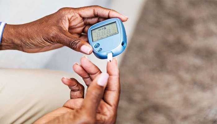Diabetes ના દર્દી માટે ઔષધી છે આ 3 વસ્તુ, બ્લડ સુગરને તુરંત કરે છે કંટ્રોલ