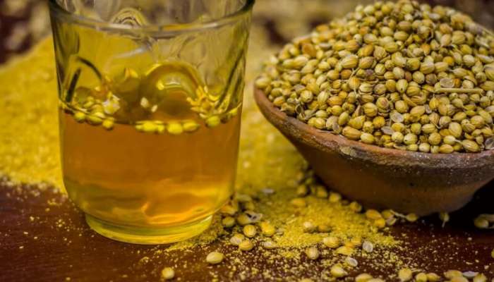 Coriander Water Benefits: સવારે ખાલી પેટ પીવો આ પાણી, મળશે 7 મોટા ફાયદા