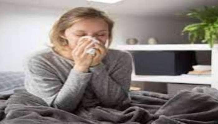 Cold And Flu: શિયાળામાં કરો આ 5 વસ્તુઓનું સેવન, 2 દિવસમાં મટી જશે શરદી-ઉધરસ