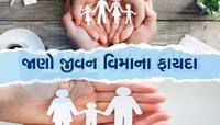 Life Insurance ના છે ઘણા બેનિફિટ્સ,ઉતાવળે આંબા ન પાકે લાંબા ગાળે મળે છે તગડું રિટર્ન