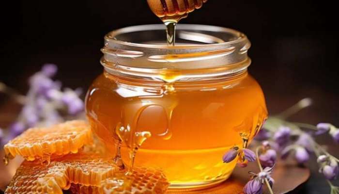 Honey Benefits: શિયાળામાં 1 ચમચી મધ ખાવાથી શરીરને મળે છે 5 જોરદાર ફાયદા