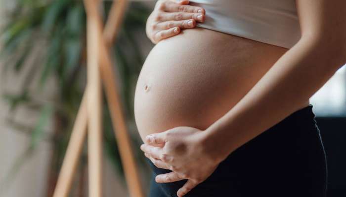 Pregnancy માટે સૌથી જરૂરી છે આ બાબત, આ 6 સુપરફુડ બનશે વરદાન