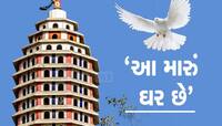 એન્ટીલિયા જેવું ઉંચુ છે આ બર્ડ હાઉસ, અમેરિકા સ્થાયી થયેલા NRI એ પક્ષીઓને આપ્યું ઘર