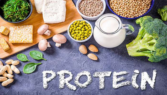 Protein: ઈંડા કરતાં વધારે પ્રોટીન હોય છે આ વેજિટેરિયન ફૂડમાં, ખાવાથી મજબૂત થશે શરીર