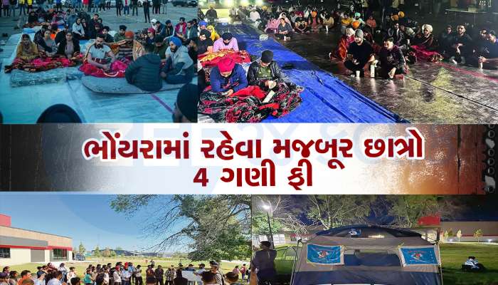 કેનેડામાં બધુ જ ફૂલગુલાબી નથી : ઈન્ટરેટ પર દેખાય એ સત્ય નથી, આવી છે વાસ્તવિકતા