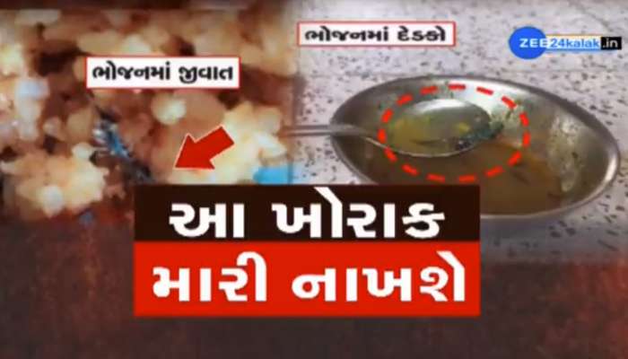 સૂપ પીવાના શોખીનો માટે લાલ બત્તી સમાન કિસ્સો! આ જાણીતી રેસ્ટોરાંમાં સૂપમાંથી નીકળ્યો વંદો, VIDEO વાયરલ