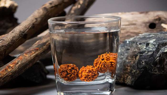 Rudraksha Benefits: વિજ્ઞાને પણ માન્યું રુદ્રાક્ષ મટાડી શકે છે હાઈ બીપી સહિતના રોગ, હાર્ટ એટેકનું ટળે છે જોખમ