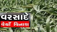 માવઠાંથી ચક્રવાત જેવું નુકસાન; વૃક્ષો, વીજપોલ, હોર્ડિંગ ધરાશાયી, કાગળની જેમ મંડપ ઉડ્