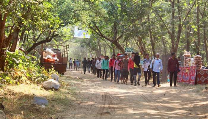 Girnar: ગિરનારની લીલી પરિક્રમા માત્ર એક પરંપરા નહીં ઉત્સવ છે.. જાણો તેના મહત્વ અને ઈતિહાસ વિશે