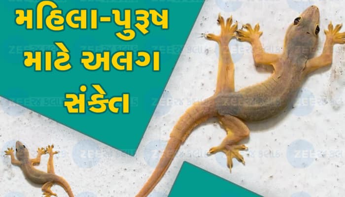 આ તિથિઓ પર શરીર પર ગરોળી પડે તો મળે છે શુભ ફળ, શું તમને ખબર છે!!!