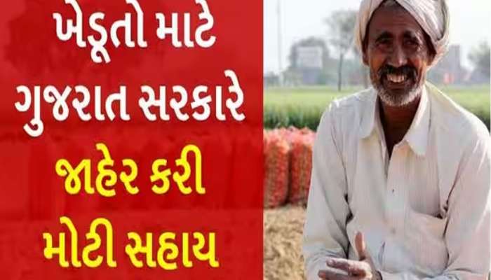 વરસાદ બાદ ખેતર જોઈને ખેડૂતો પોક મૂકીને રડી પડ્યા! ગુજરાત સરકારે કર્યું મોટું એલાન  