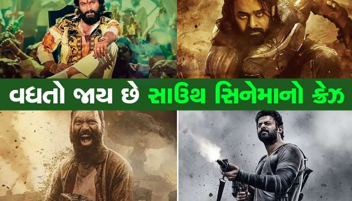 2135 CR રૂપિયા લાગ્યા છે દાવ પર, આ 6 ફિલ્મોથી બોલીવુડને પડકાર આપવા તૈયાર સાઉથ સિનેમા