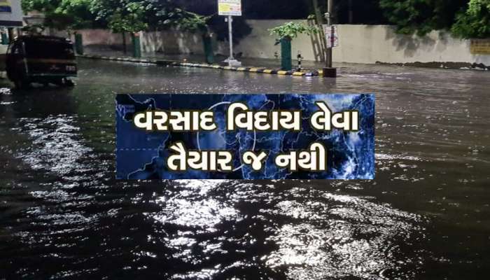વરસાદે 'ભારે' કરી! ગુજરાતના આ જિલ્લામાં ભર શિયાળે અષાઢી માહોલ સર્જાયો, ખેડૂતો બજારોમાં દોડ્યા, જાણો કેમ