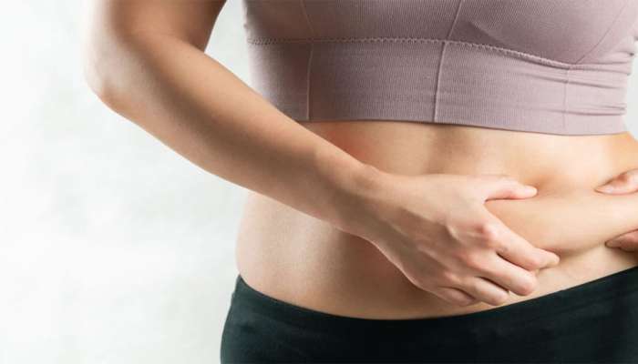 Weight Loss: પેટની આસપાસ જામેલી ટાયર જેવી ચરબી ગણતરીના દિવસોમાં થશે ગાયબ, ફટાફટ જાણો વજન ઘટાડવાનું સીક્રેટ