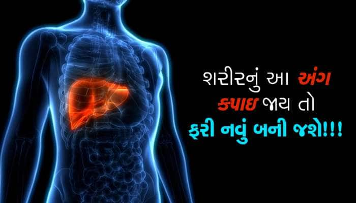 માણસનું આ અંગ કપાઇ જાય તો ફરી નવું બની જાય છે? 99% લોકોને જવાબ નથી જાણતા...