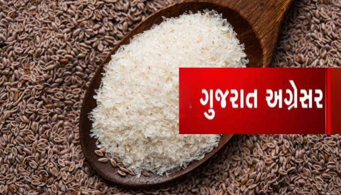 જગત જમાદાર અમેરિકા પણ આ વસ્તુ માટે ગુજરાત પાસે હાથ લંબાવે છે, ઉત્પાદનમાં ગુજરાત બન્યું નંબર 1 