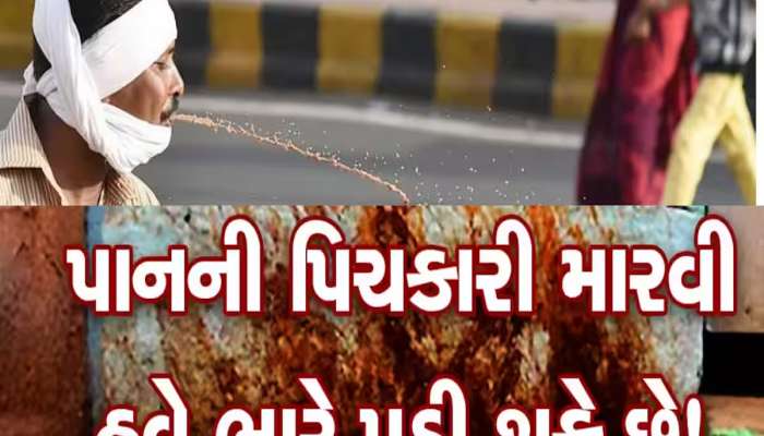 પાન મસાલા ખાઈને થૂંકતા લોકોને ગુજરાત સરકારની ચેતવણી, હવે બસમાં પણ કચરો ફેંક્યો તો મર્યા