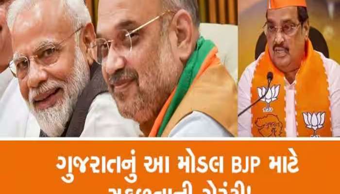 મધ્યપ્રદેશની જીતમાં ગેમ ચેન્જર સાબિત થયા ગુજરાતના આ 48 ધારાસભ્યો 